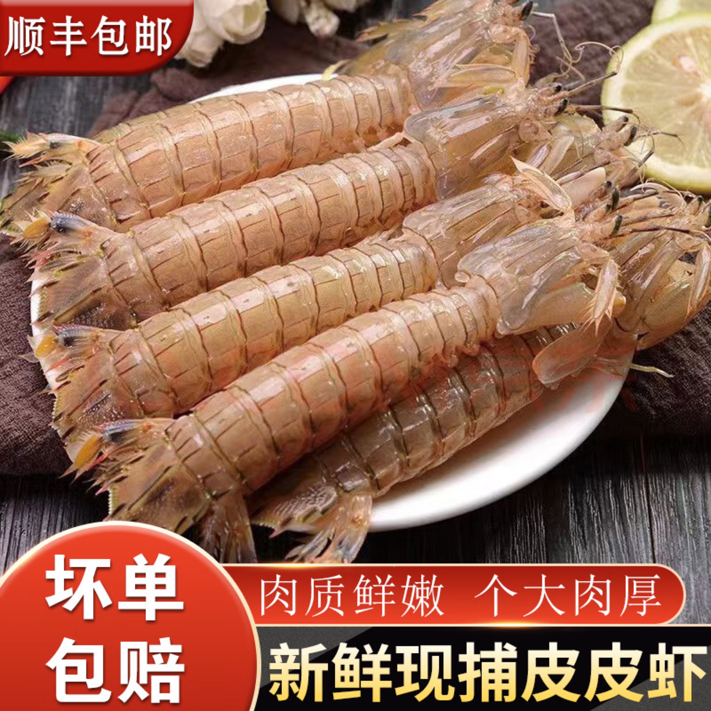 连云港皮皮虾新鲜超大肉熟冻椒盐爬爬虾全母带膏虾爬子12-16cm