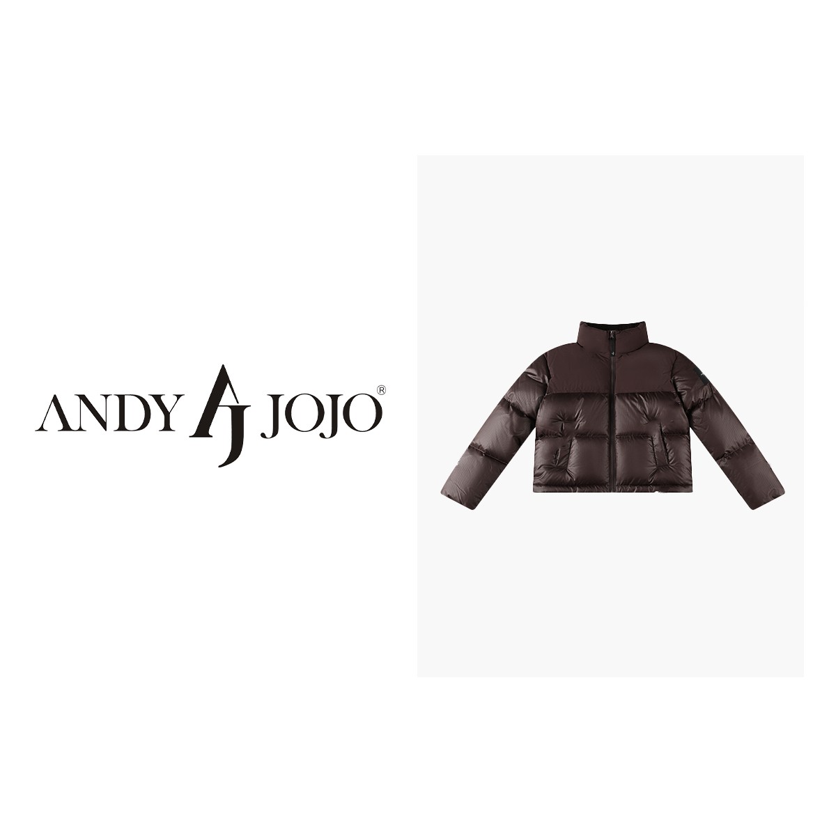 董先生&ANDY JOJO90鹅绒冬立领羽绒服拼色抽绳长袖外套29676