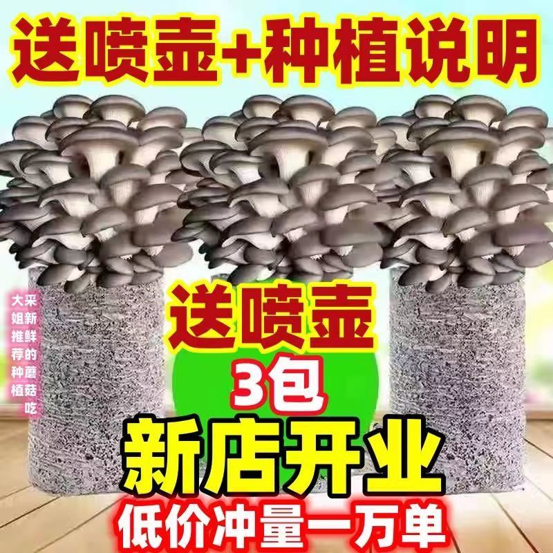 【买一发三】菌种家种蘑菇菌包家庭室内种植食用菌棒可食用菌菇包