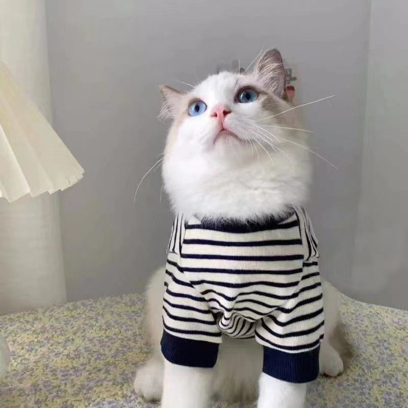 L夏天ins潮流宠物狗狗猫咪衣服四季潮牌帅气小奶英短布偶猫咪两脚