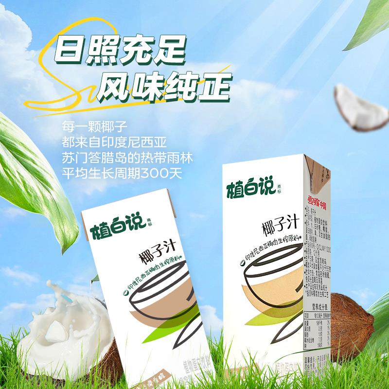 植白说椰汁椰子汁饮料植物蛋白饮品椰奶mZB笋0g
