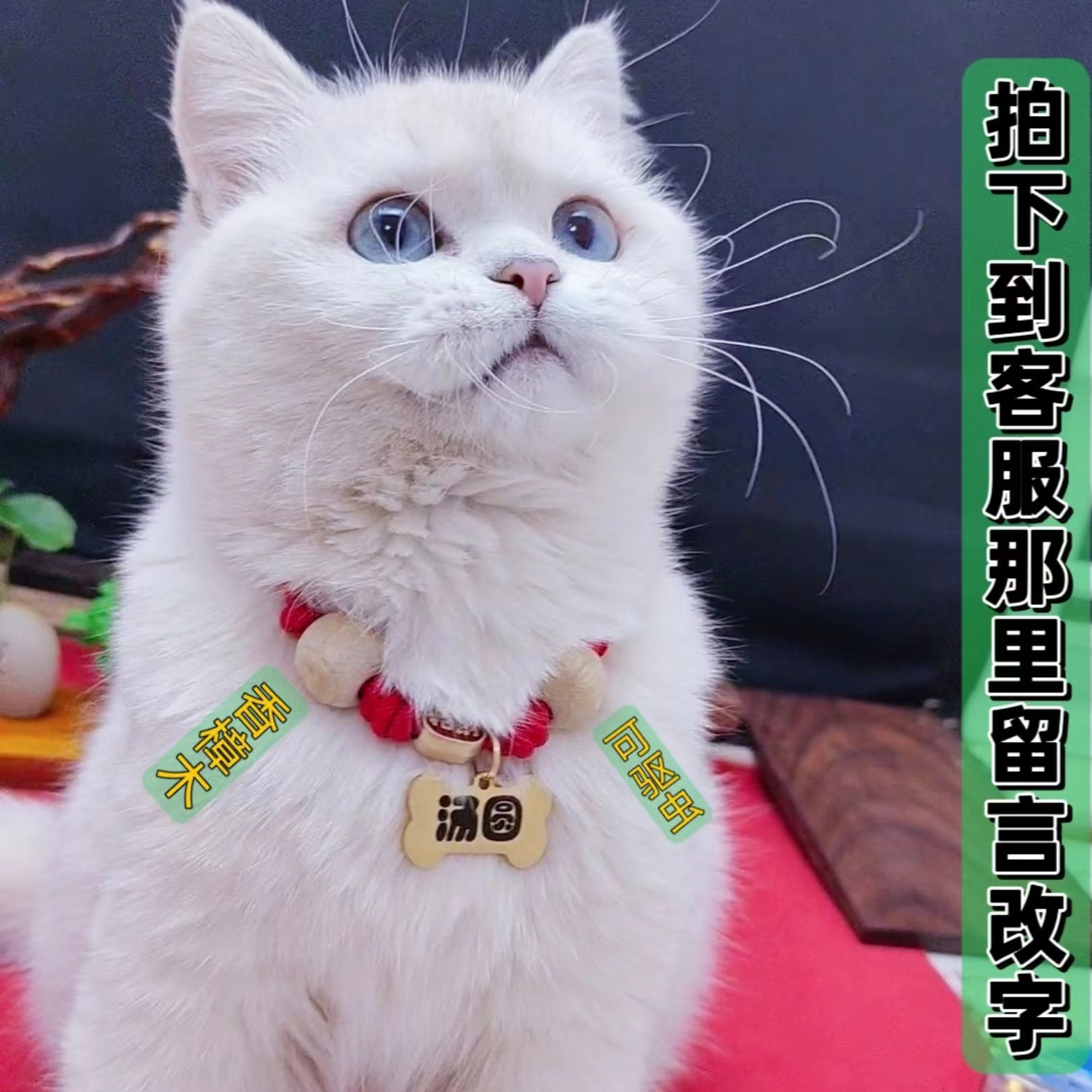 【辉哥甄选】宠物驱虫项圈猫咪狗狗防走丢身份牌定制中小型犬可调