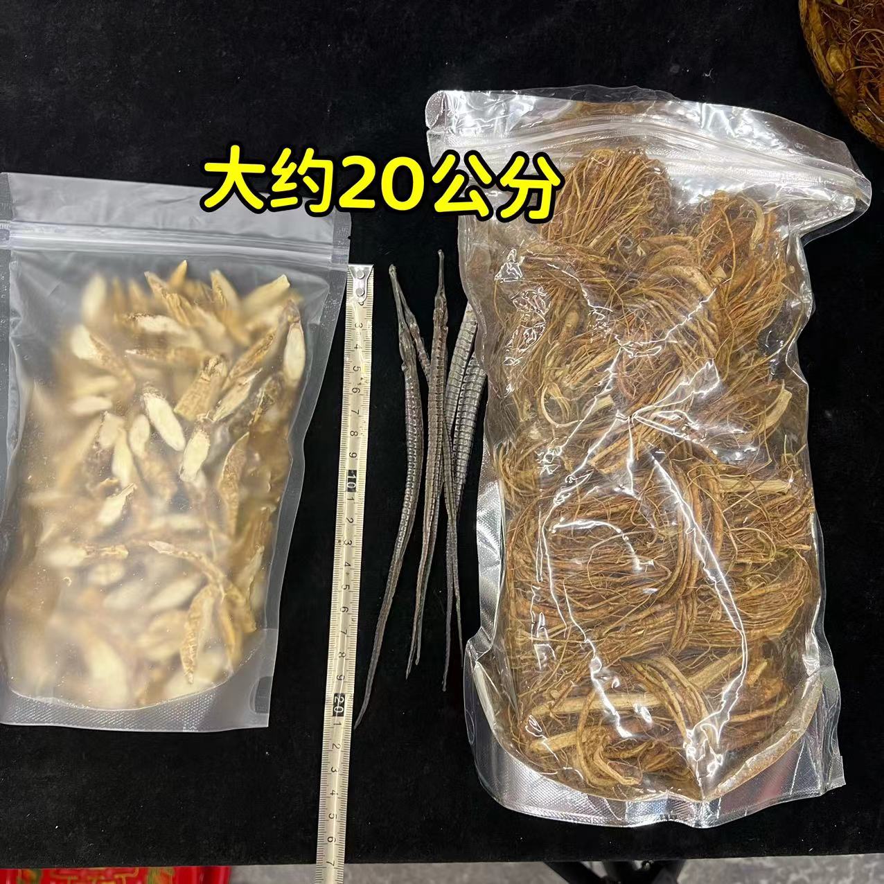 新鲜牛大力半斤五指毛桃半斤（送5条海龙）煲汤泡酒包邮