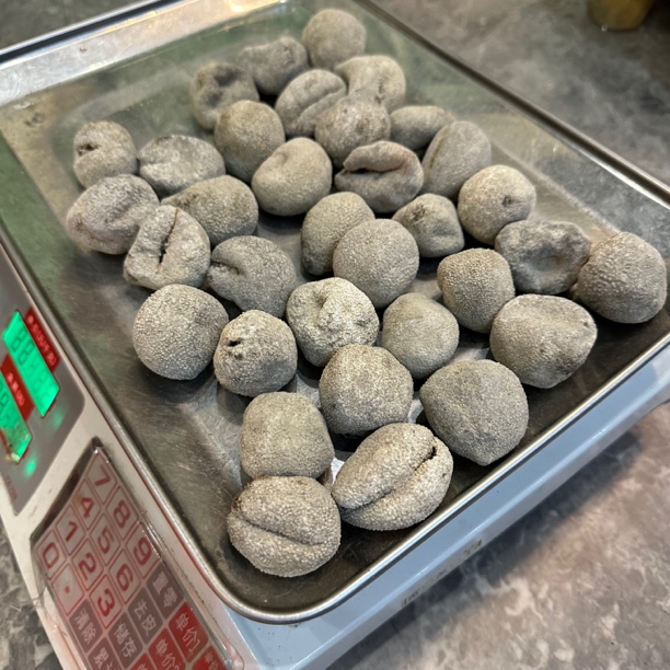 （专属福利）优选球参珍珠参炖汤