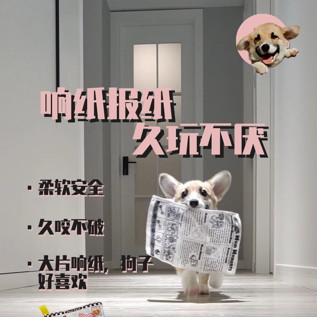 狗狗玩具耐咬磨牙解闷发声报纸响纸玩具泰迪柯基中小型宠物用品