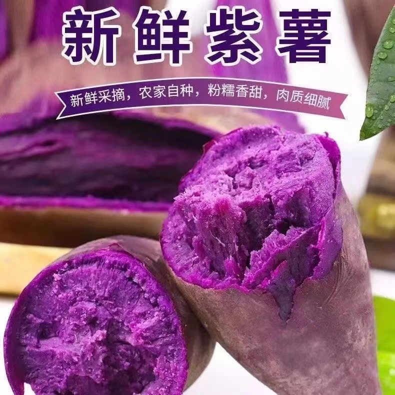 【Y新鲜紫薯】新鲜现挖紫薯紫心红薯软糯香甜5-9斤