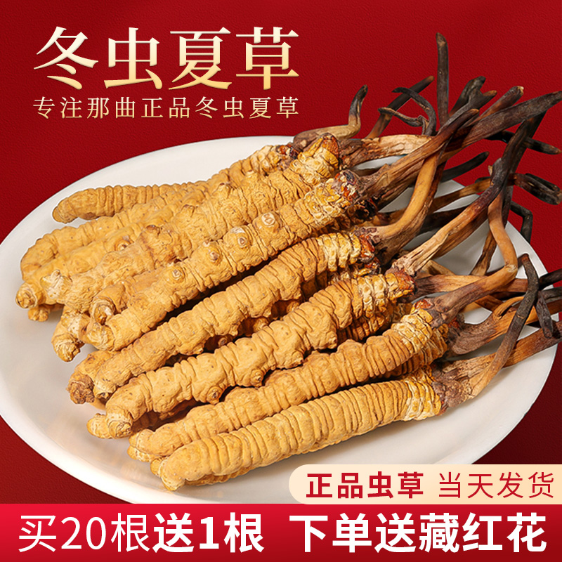 【普达专属】干冬虫夏草正品饱满虫草干货高品质礼品装滋补