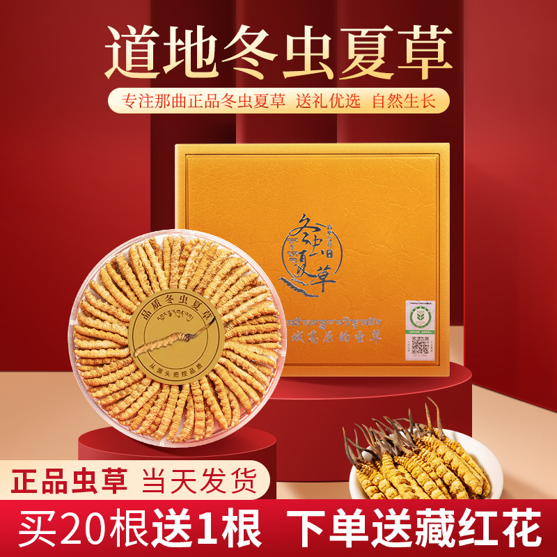 【普达专属】冬虫夏草西藏那曲虫干货送礼佳品50根礼盒装