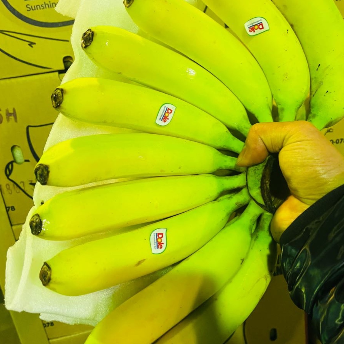 【满50】（同城一小时送达）香蕉一把