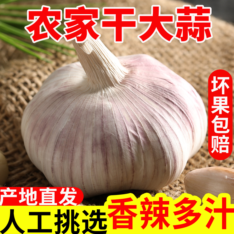 【中小果】特价干蒜5斤紫白皮杞县特产干大蒜头1斤2斤3斤9斤农家蒜