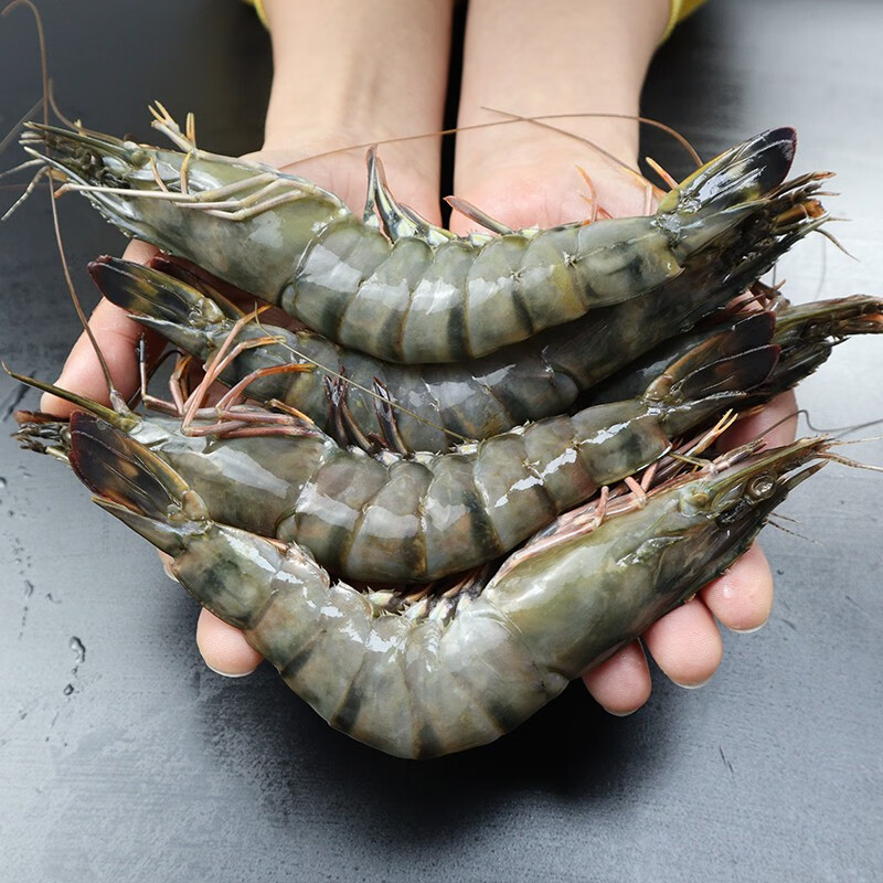3斤黑虎虾26-30规格鲜活新鲜速冻肉质Q弹装发货鲜活速冻鲜甜优选