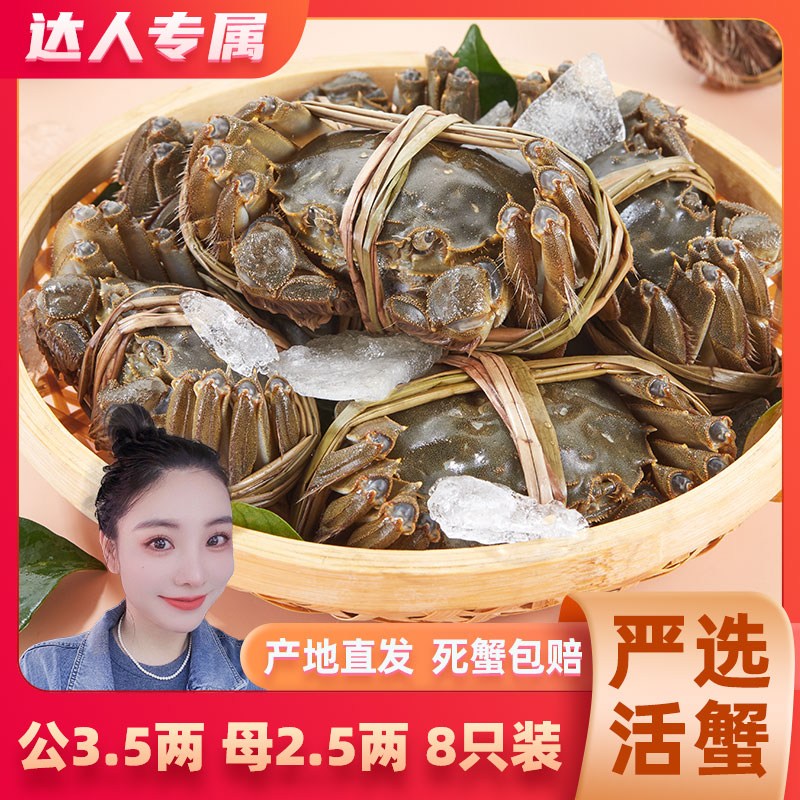 【BM】[活蟹]苏霸王大闸蟹公蟹3.5两母蟹2.5两4对8只装螃蟹新鲜甄选