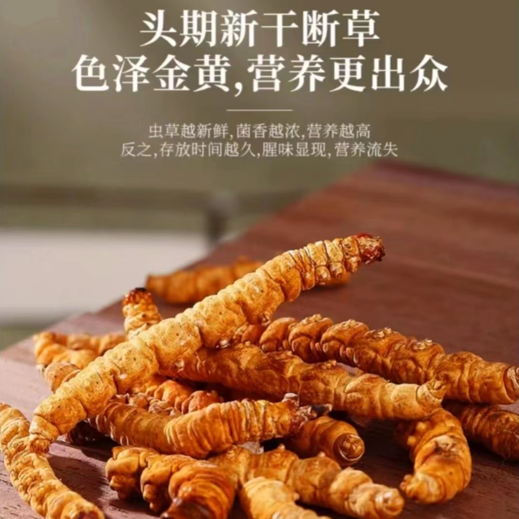 凡柔海拔4800米 源头直发 2023年头期干冬虫夏草 大断草 自用泡水