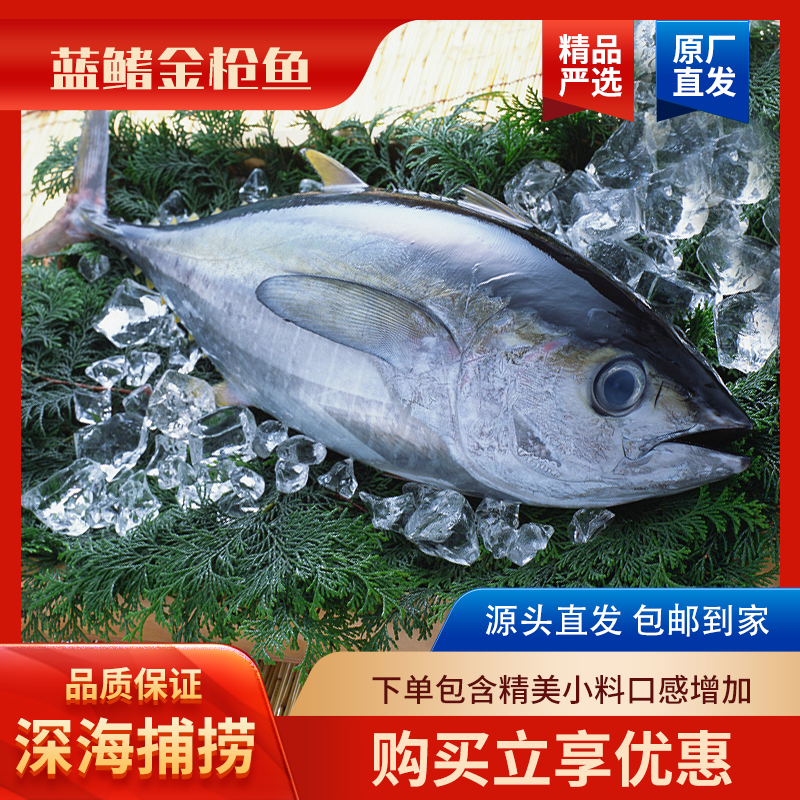 5斤半南海野钓蓝鳍金枪鱼超低温新鲜深海高营养价值冷链