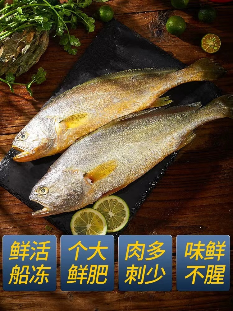 精品黄花鱼礼盒5条5斤起