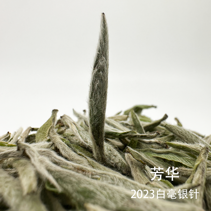 【福鼎白茶】2023年芳华 白毫银针 散茶