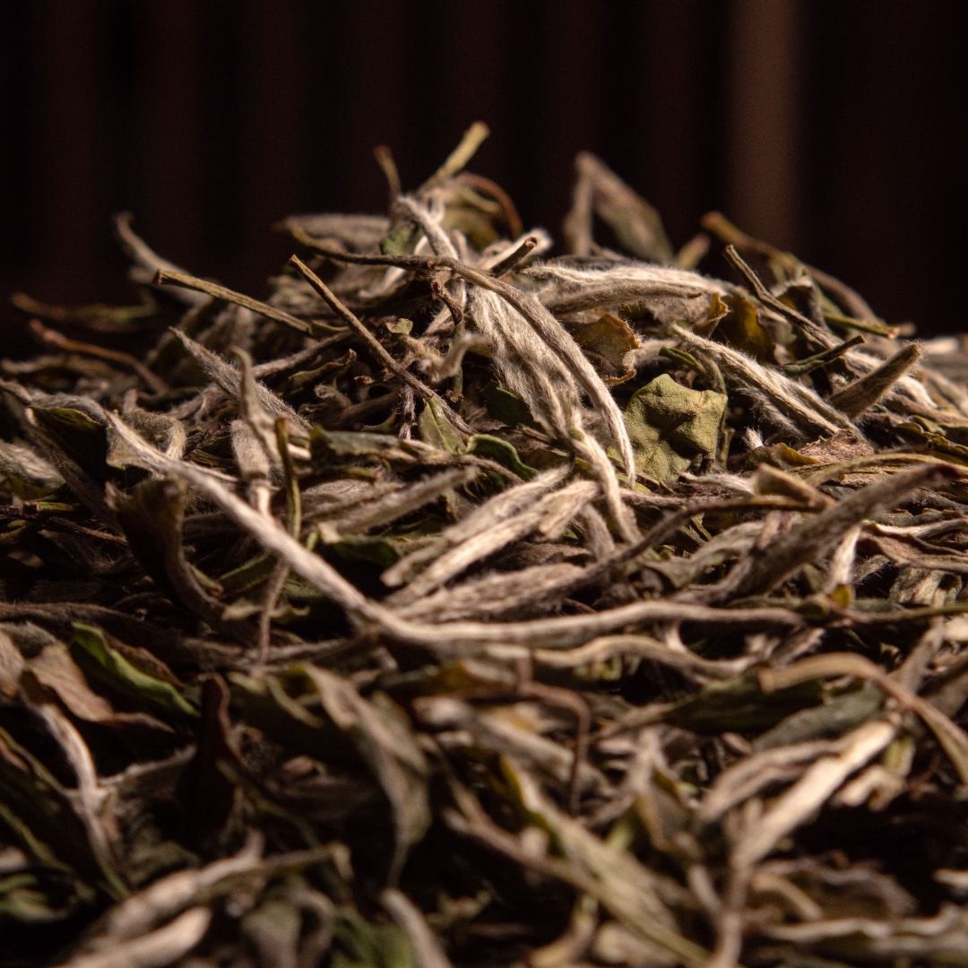【福鼎白茶】香爆天-2022年 白牡丹 散茶 高山茶水清甜茶叶晾晒