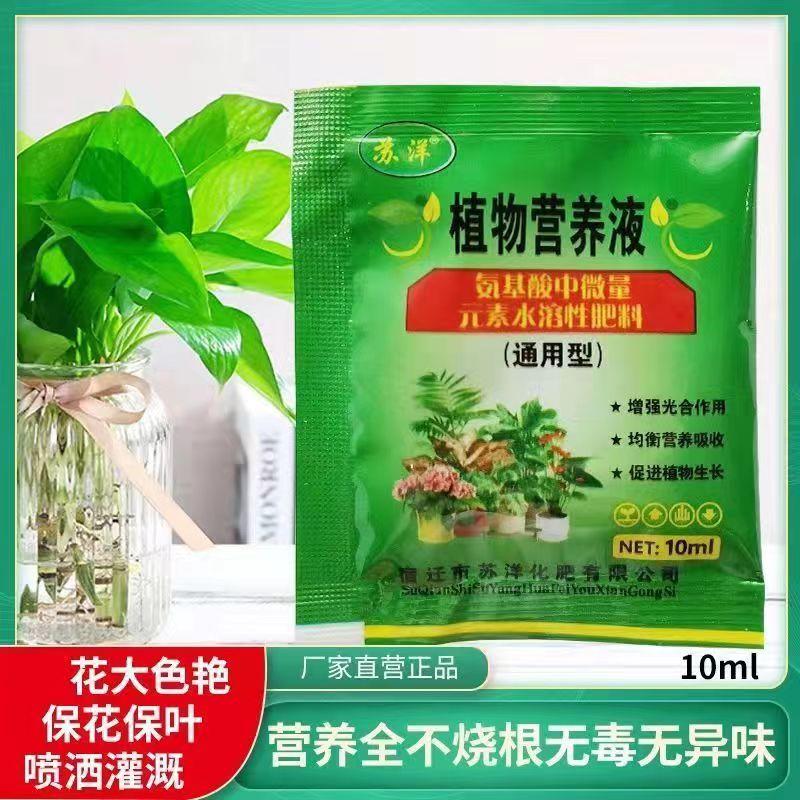 富贵竹专用绿植营养液