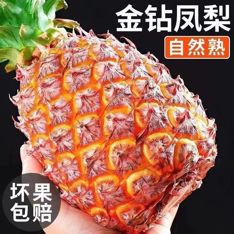 【打工姐妹专属】海南金钻凤梨多汁菠萝当季新鲜水果清甜美味精选