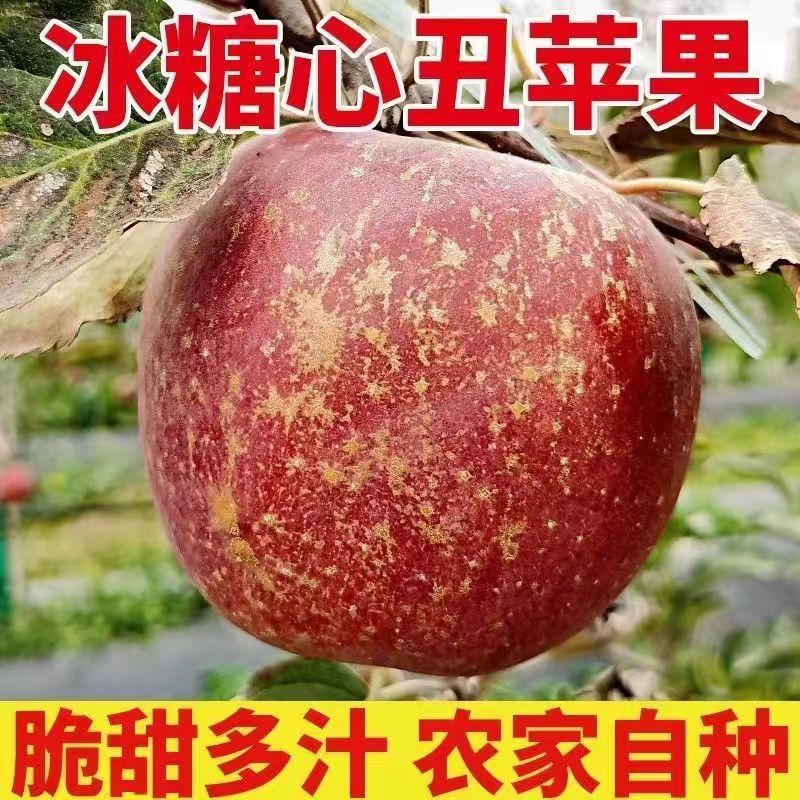 【拍三送二】2023现摘现发新鲜脆甜冰糖心丑苹果当季新鲜苹果2500g