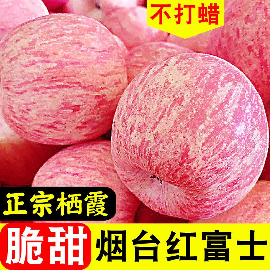 正宗山东烟台栖霞红富士苹果应季水果新鲜整箱脆甜10斤/5斤/3斤