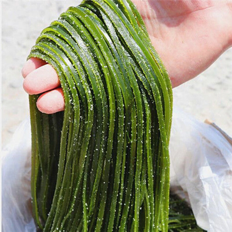 盐渍海带丝整箱5斤鲜嫩批发特厚火锅食材凉拌菜海鲜干货