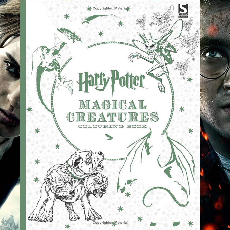 Harry Potter英文版哈利波特成人减压解压动物涂色书填色本涂鸦书