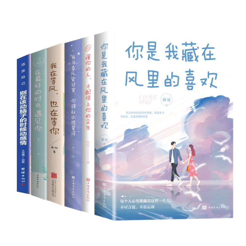 你是我藏在风里的喜欢懂你的人别在该动脑子时动感情现代言情小说