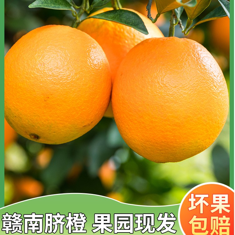 10斤装精选品质江西赣州橙子正宗赣南脐橙新鲜果园直发现摘现发