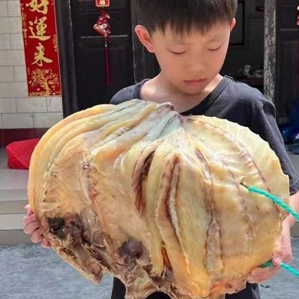 海南深海天然晾晒整条大红鱼干咸鱼干焖五花肉 咸香味送礼佳品