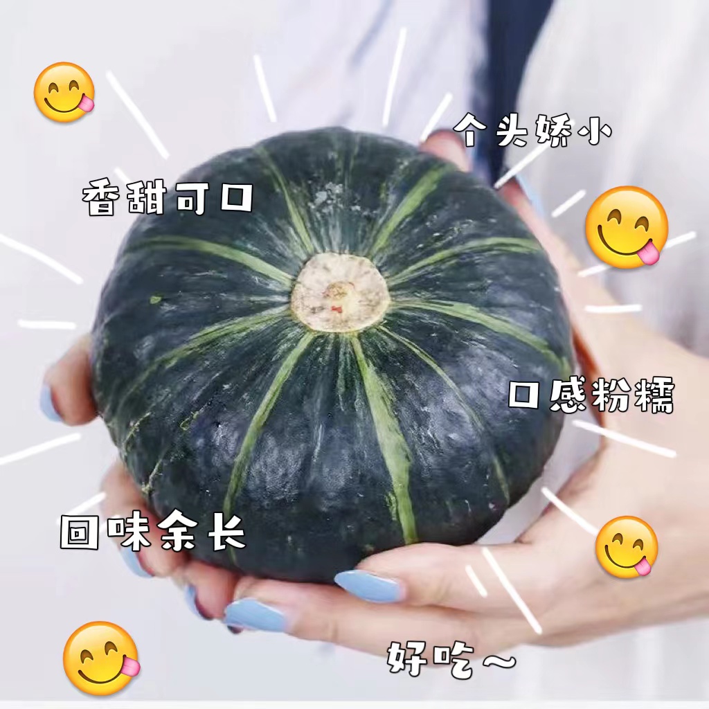 【全疆包邮】贝贝小南瓜，1.6kg左右/件