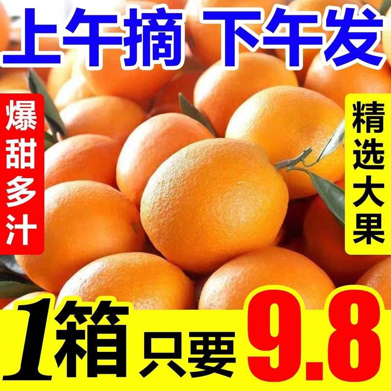 【新店抢购】正宗赣南脐橙1/10斤应季新鲜孕妇水果橙子超甜大果爆汁