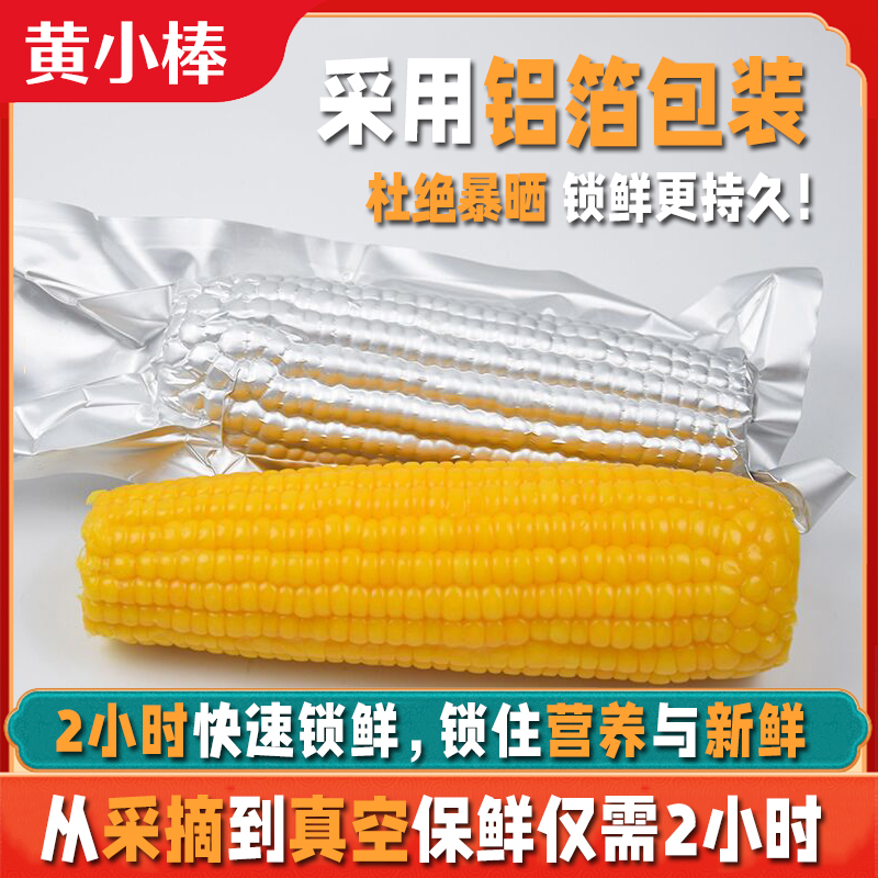 [铝箔包装]黑龙江黄糯玉米整箱10根香甜糯黏苞米真空包装新鲜采摘