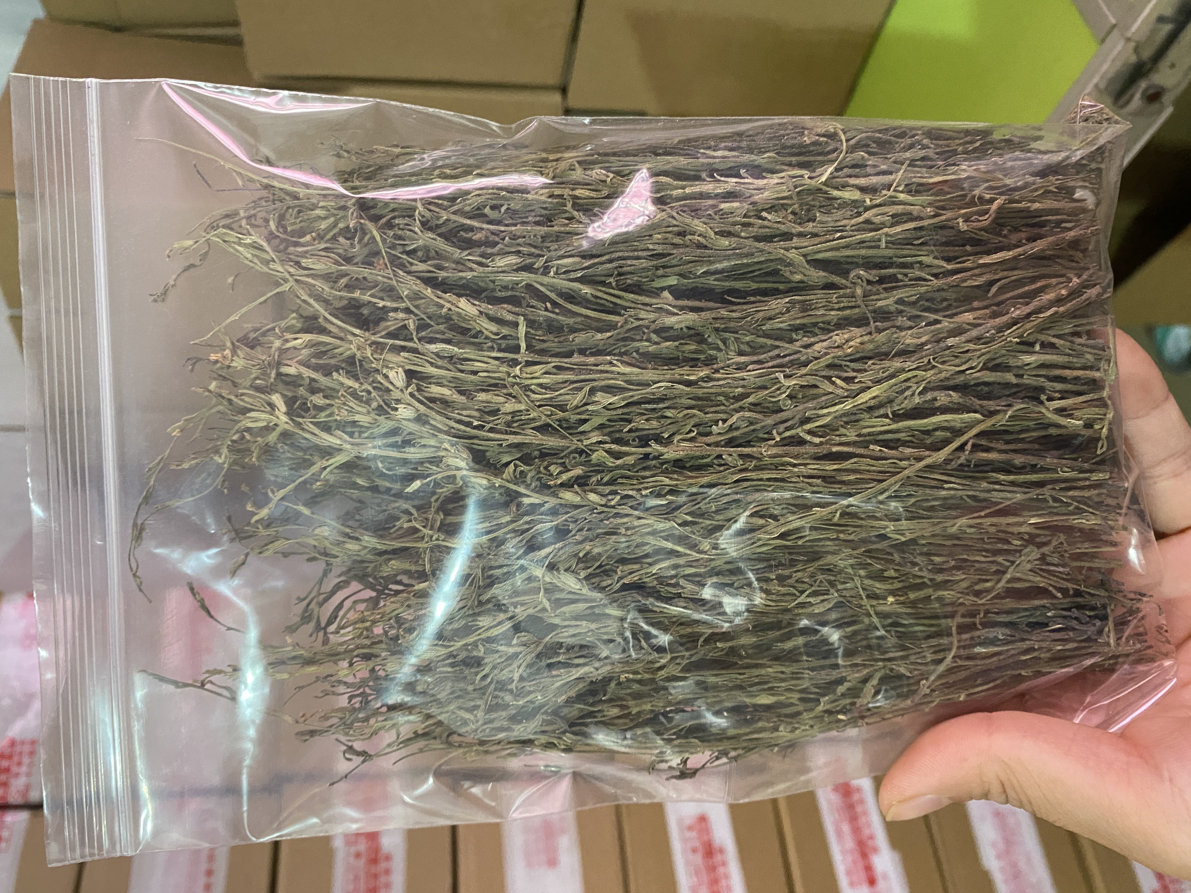 单单的独脚金50g（适合能吃不长的宝贝）养啤的