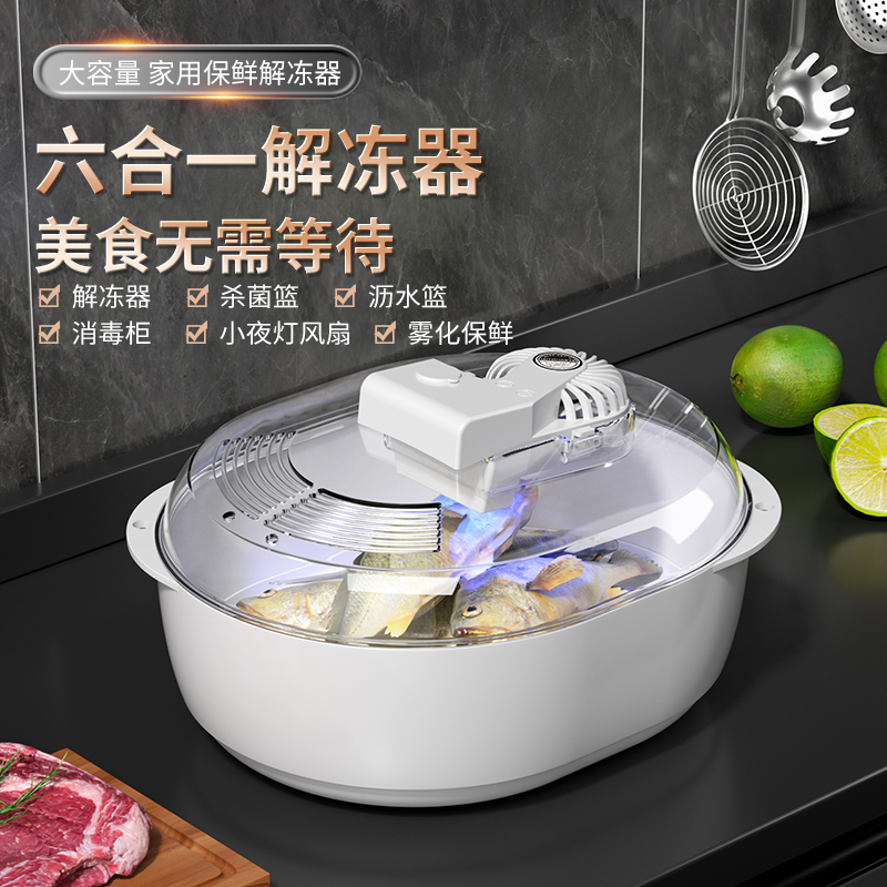 德国恒温解冻器家用牛排冻肉快速解冻机商用肉类食品化冰保鲜神器