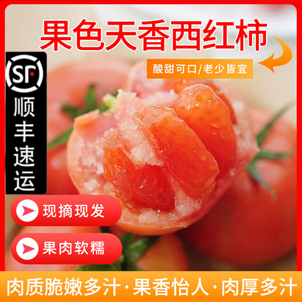 【顺丰快递】海阳西红柿新鲜采摘3斤-4.5斤果肉软糯