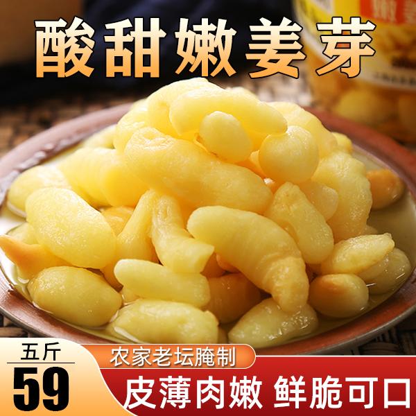 【营养健康】酸甜嫩姜芽 下酒下饭 老少皆宜 微辣脆嫩新鲜腌制