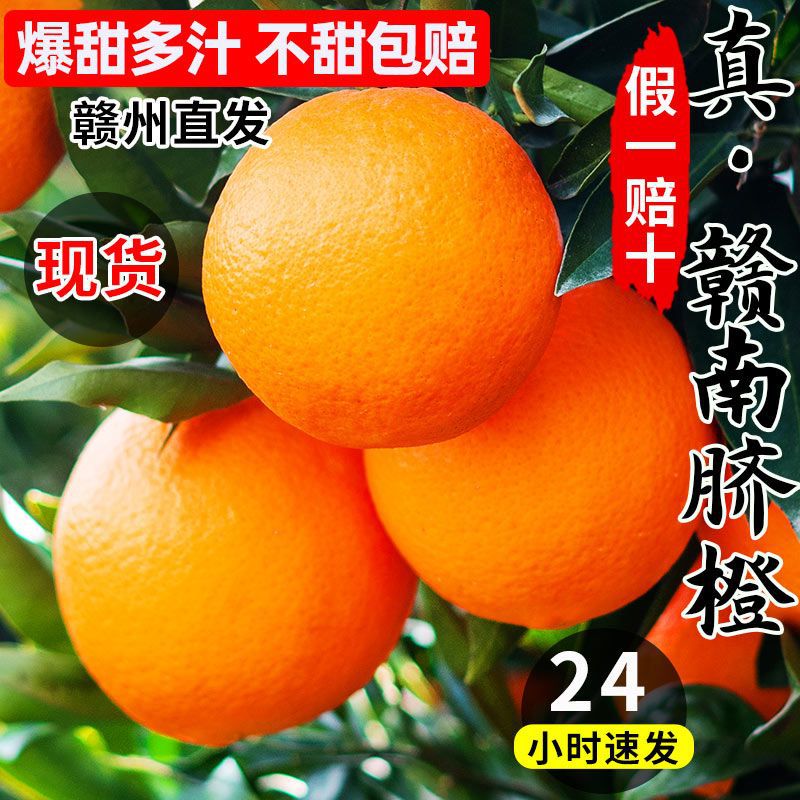 【坏果包赔】正宗江西赣南脐橙信丰甜橙子现摘现发赣州产地直发包邮