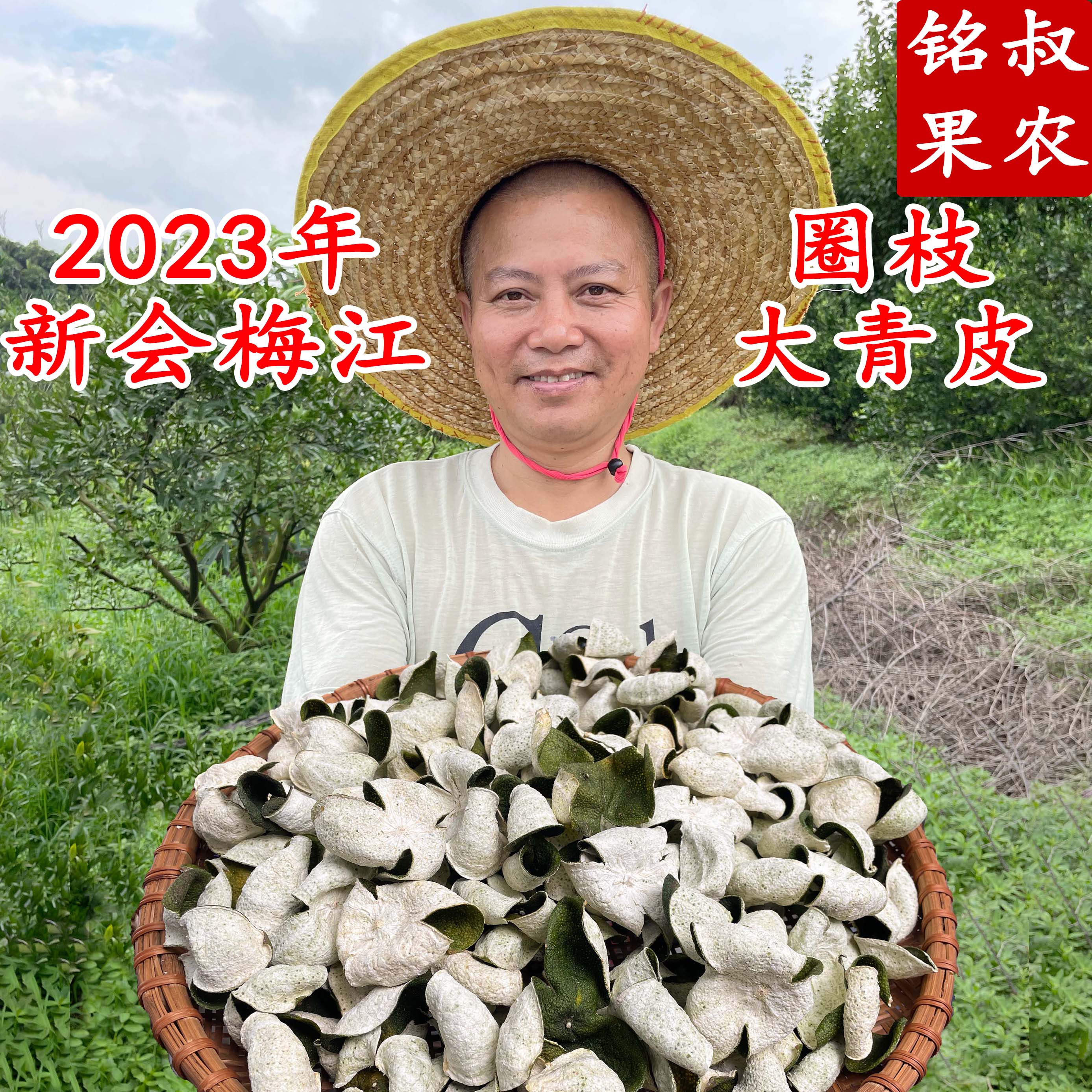 2023年新会梅江圈枝大青皮（新会茶枝柑皮）以直播间为准