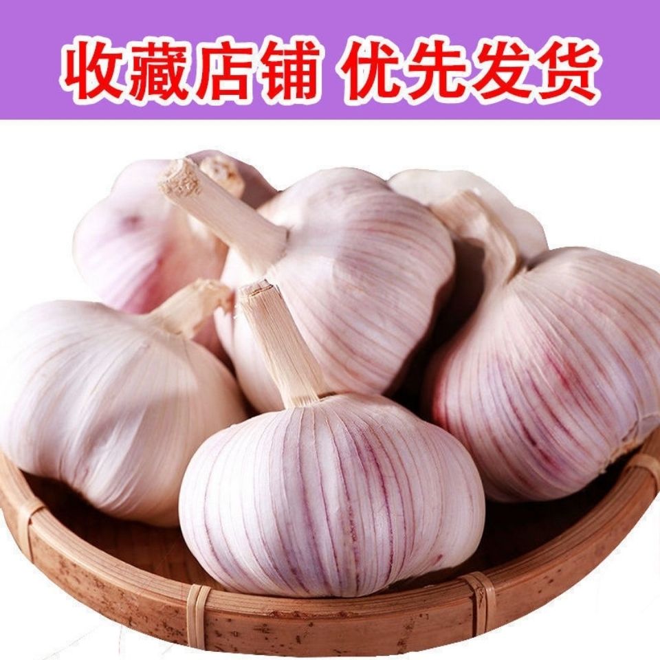 【超低价】干蒜5斤紫白皮大蒜头河南干大蒜包邮1斤自产自销100克