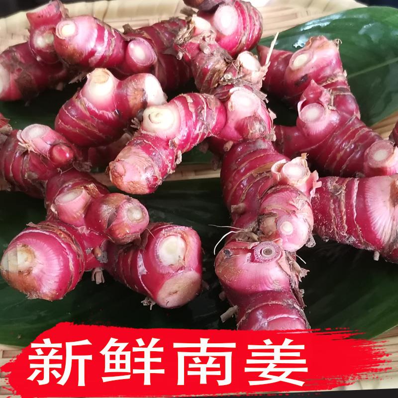 新鲜南姜红皮山姜高良姜冬阴功汤调味材料潮汕火锅底料卤水调料