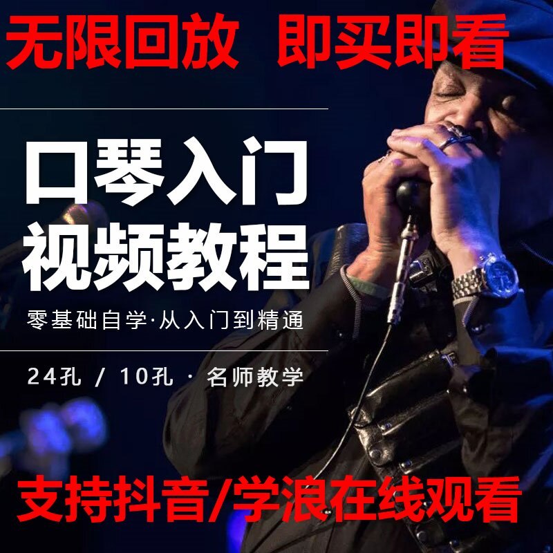 口琴自学视频教程教学零基础入门初学者十孔10孔24孔学口琴课程