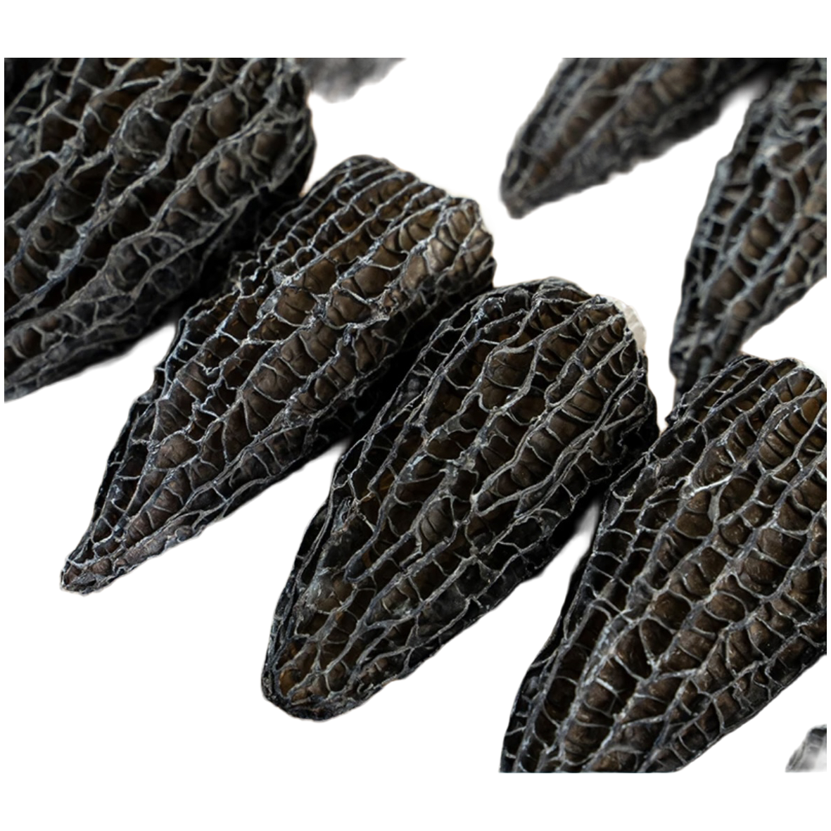 云南现收大山羊、肚、菌100g150g/250g/500g饱满