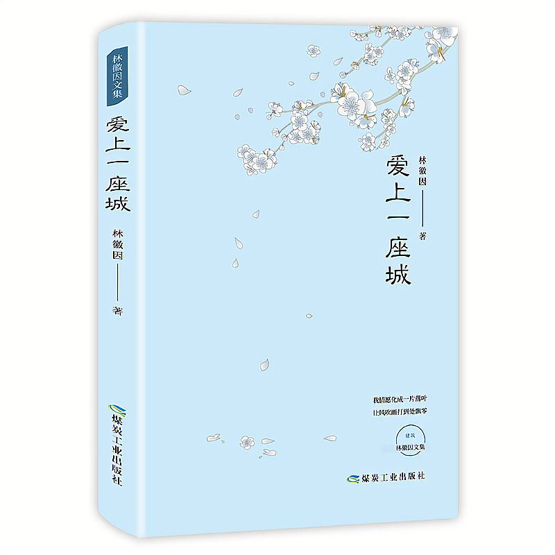 正版林徽因文集作品爱上一座城林徽因的书名人原著现代文学作品董