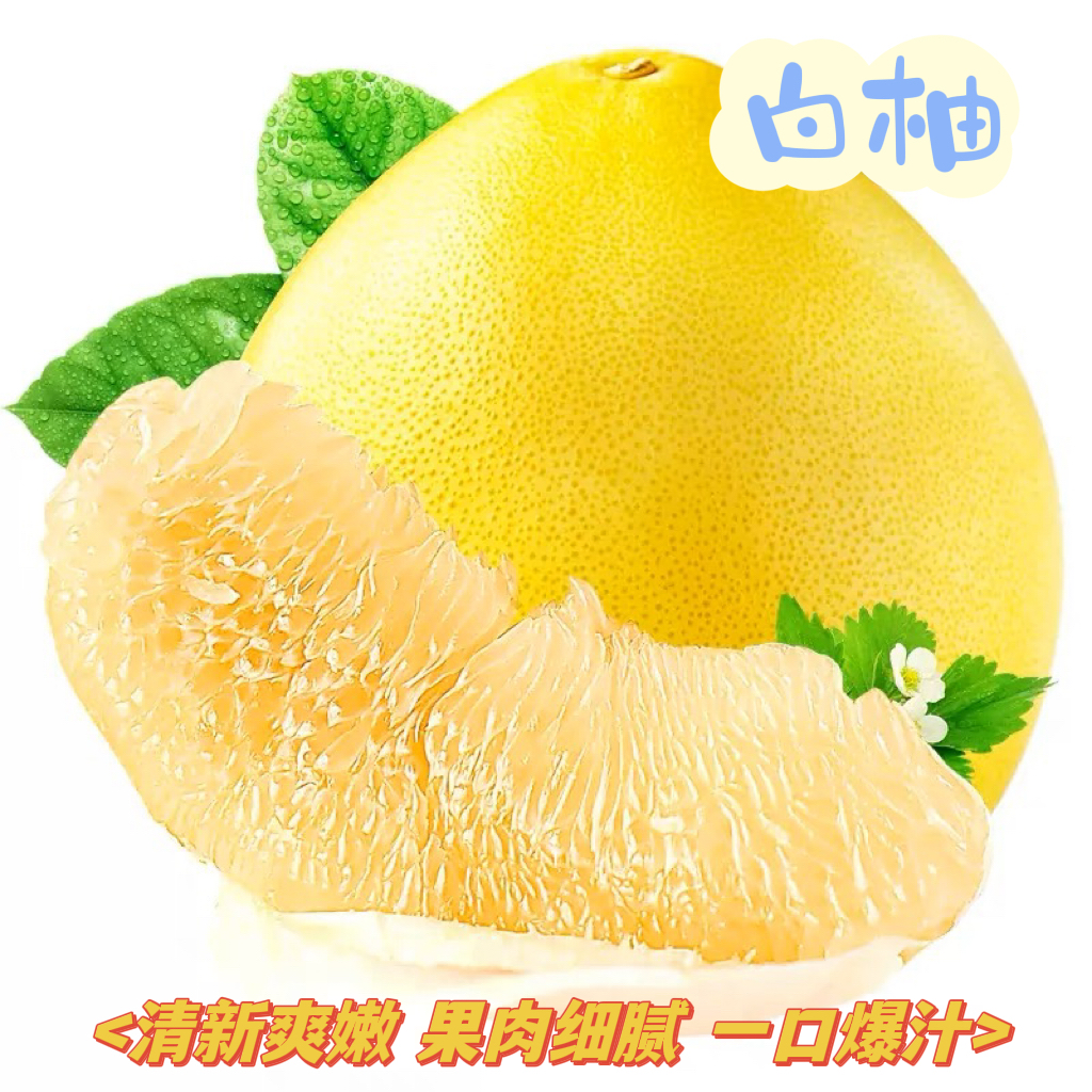 【严选好物】白柚 酸甜爆汁白心柚 1颗1.5斤起 辽宁发货