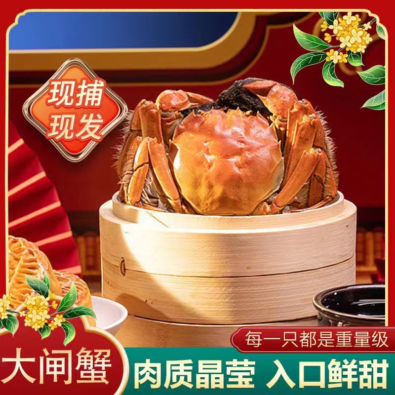 【活蟹】【4两母蟹】红膏大闸蟹 老无精选大闸蟹