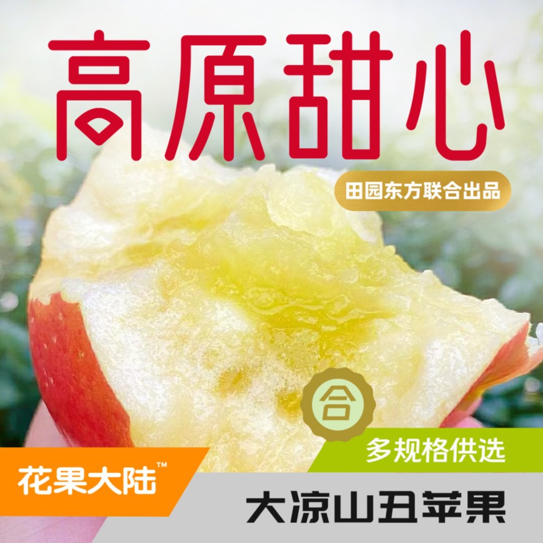 花果大陆|大凉山丑苹果 高原原生态冰糖心5/8斤