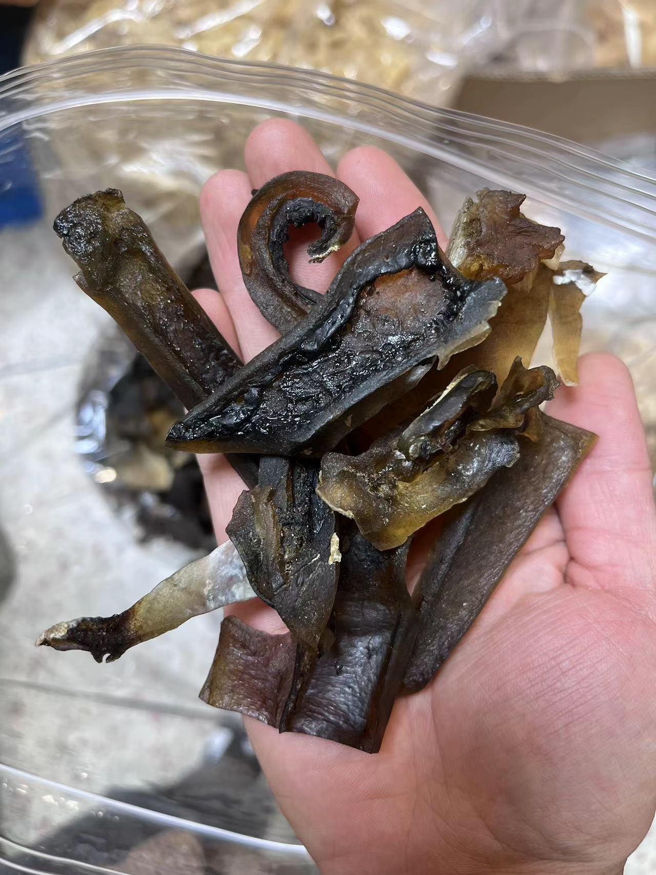南海阁海珍行 龟（裙）胶250g500g