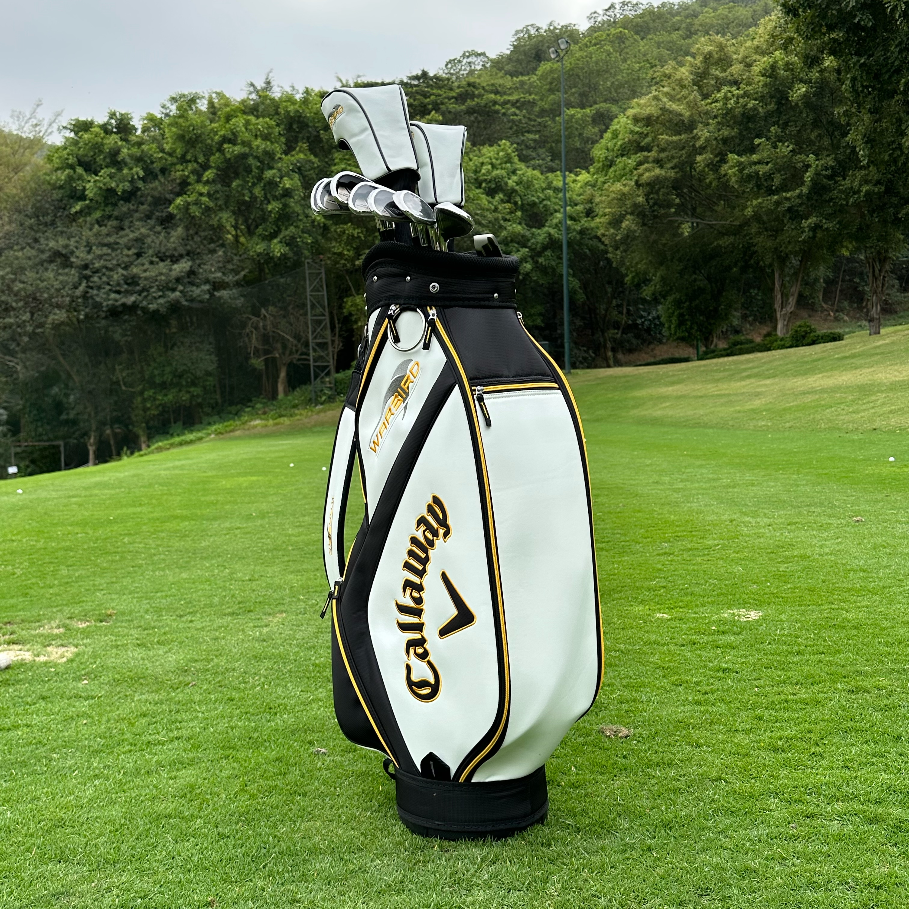 Callaway/卡拉威高尔夫球杆男士套杆WARBIRD高容错初学者套杆全套
