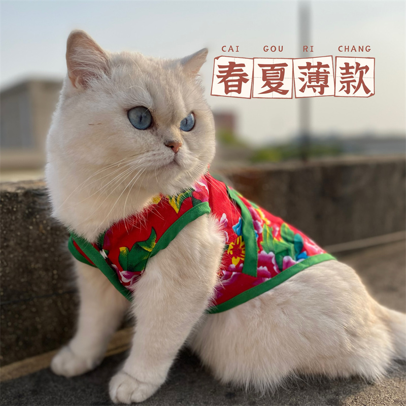 春夏薄款东北大花宠物衣服翠花猫咪背心防止掉毛比熊狗狗马甲上衣